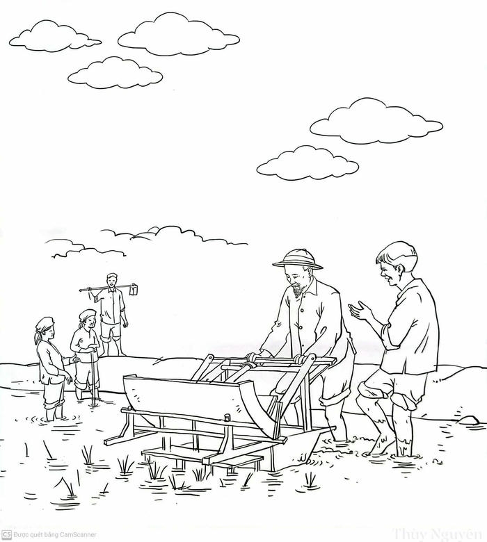 Tranh tô màu bác hồ phác họa cân đối