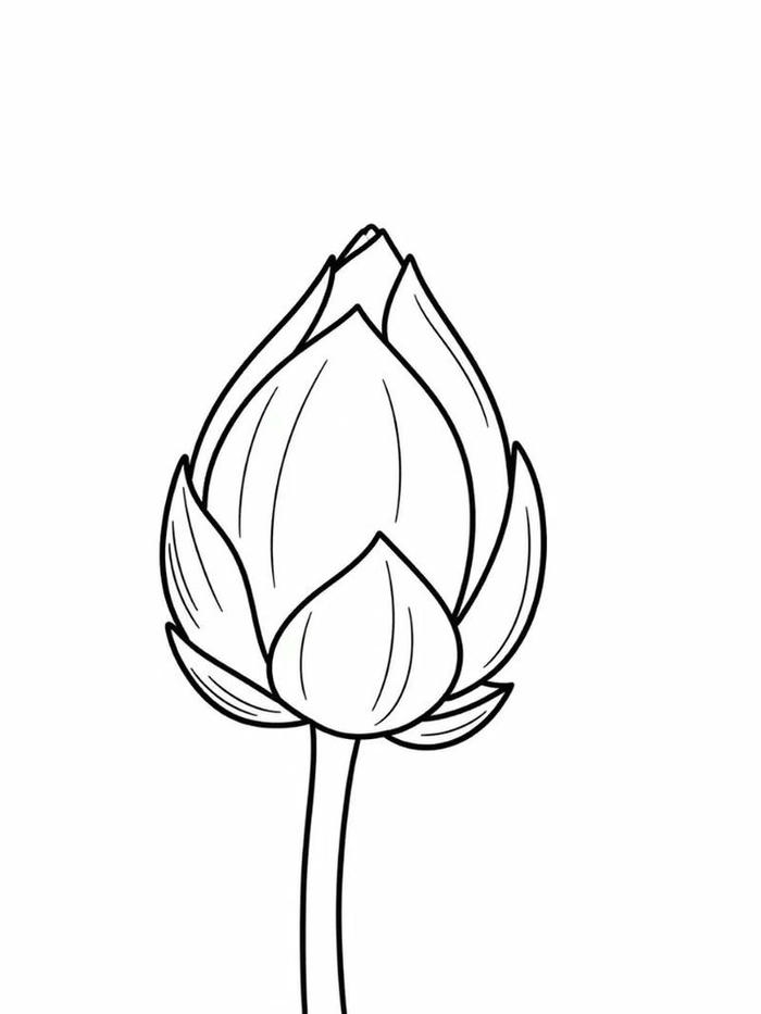 Tranh tô màu bông hoa hình dáng cân đối