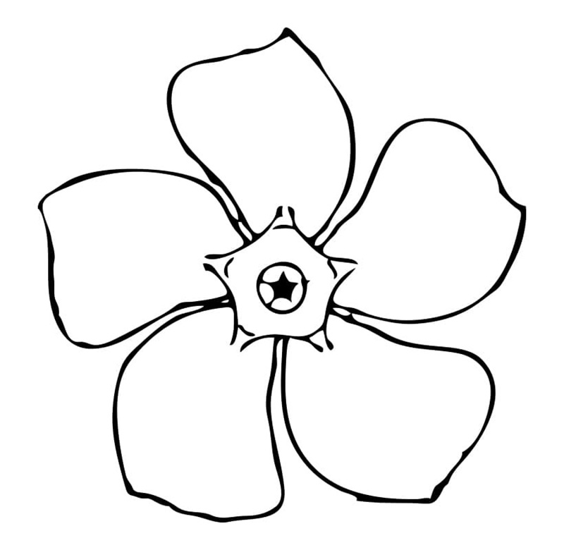 hình bông hoa 5 cánh cho bé